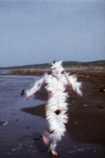 Bird Run