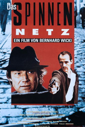 Das Spinnennetz