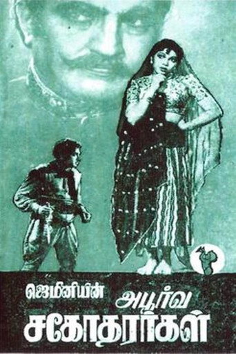 அபூர்வ சகோதரர்கள்