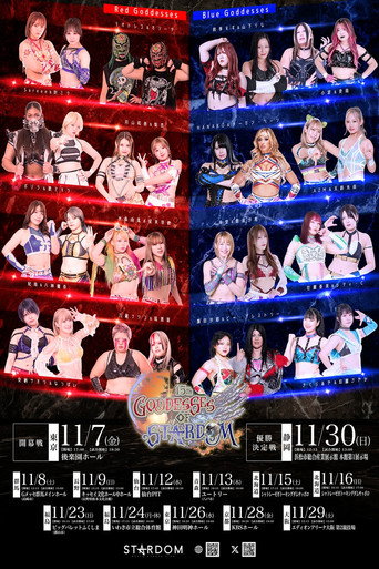 第15回 ゴッデス・オブ・スターダム ～タッグリーグ戦～ in KORIYAMA