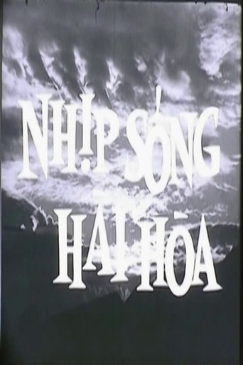 Nhịp Sống Hài Hòa