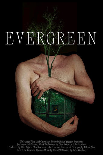 Evergreen