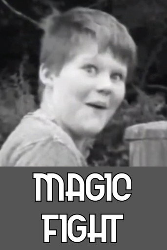 Magic Fight