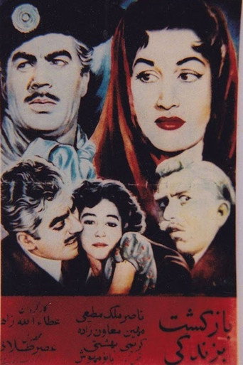 بازگشت به زندگی