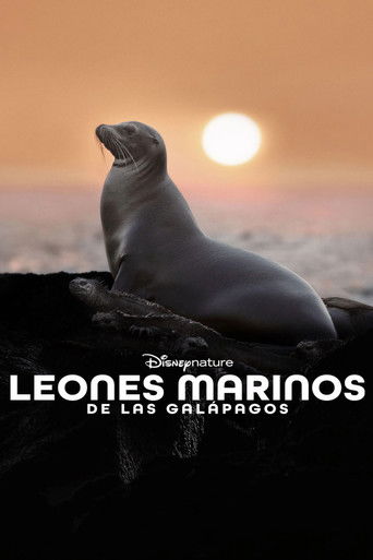 Los leones marinos de las Galápagos