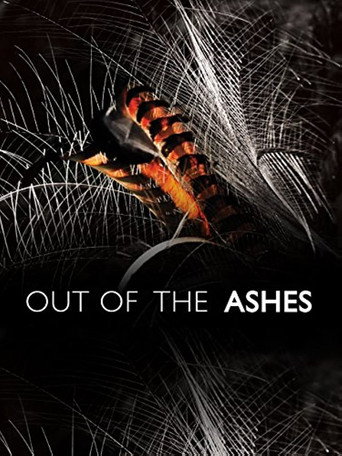 Out of the Ashes