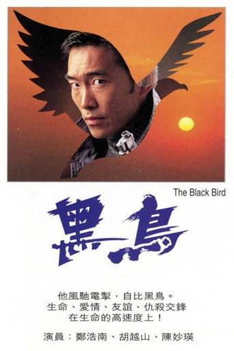 黑鳥