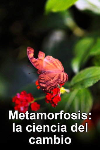 Metamorfosis: La ciencia del cambio