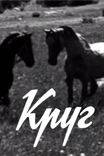 Круг