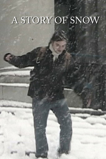 A Story of Snow