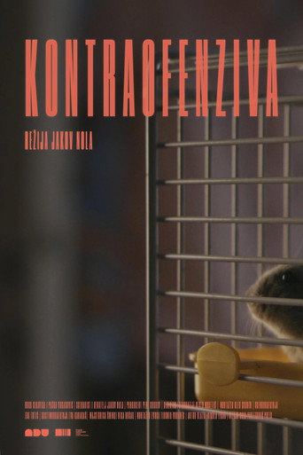 Kontraofenziva