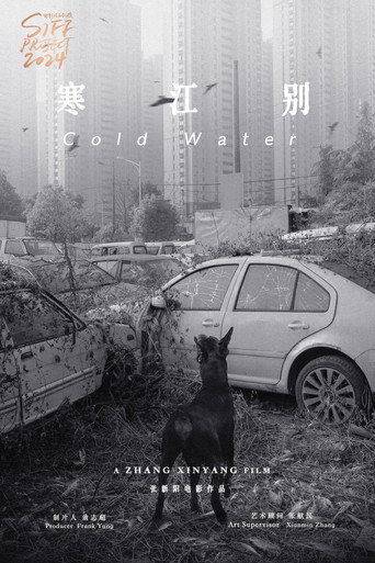 伤寒杂病论