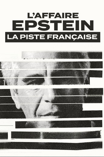 L'affaire epstein : la piste française