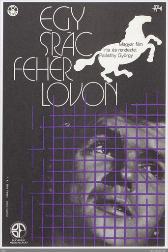 Egy srác fehér lovon