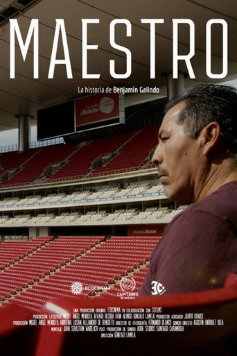 El Maestro: La película de Benjamín Galindo