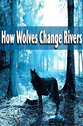 How Wolves Change Rivers