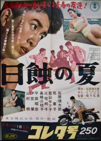 日蝕の夏