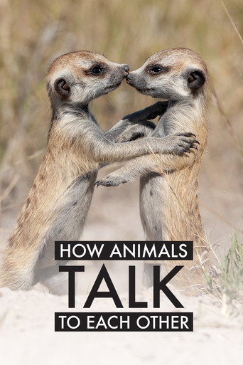 Cómo los animales hablan entre ellos