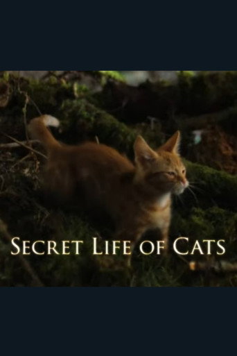La vida secreta de los gatos