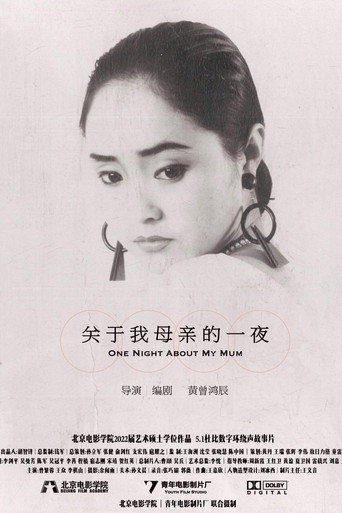 关于我母亲的一夜