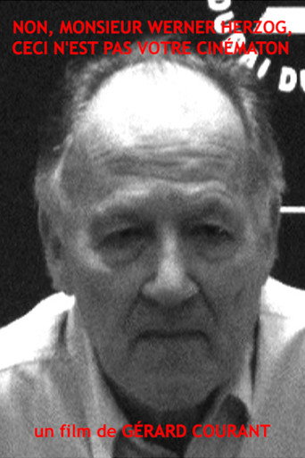 Non, monsieur Werner Herzog, ceci n'est pas votre Cinématon