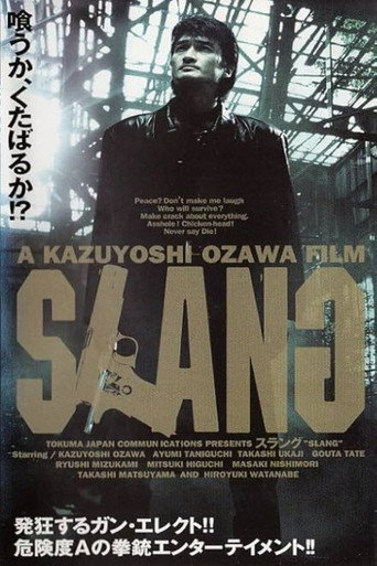 SLANG 黄犬群