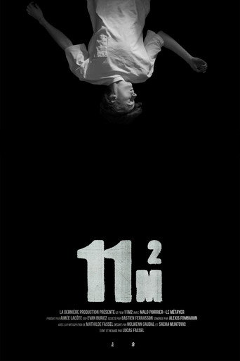 11m2