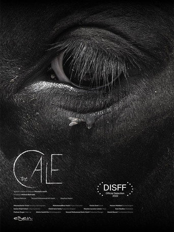 The Calf