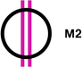 M2