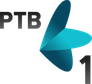 RTV 1